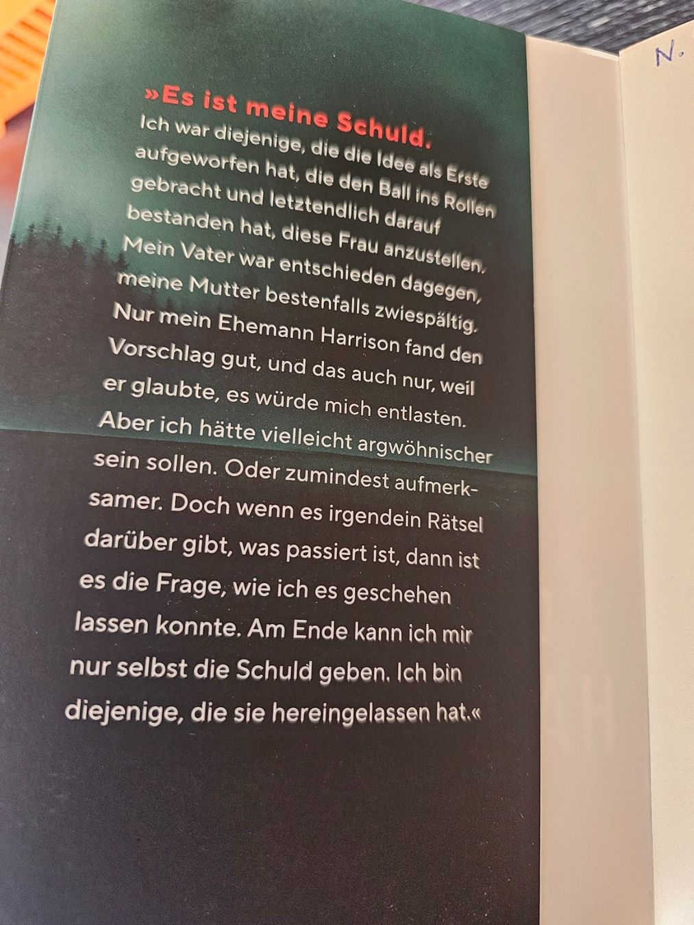 Libri: Die Haushälterin, Joy Fielding – Usato da Rain venduto da Rasala3 2