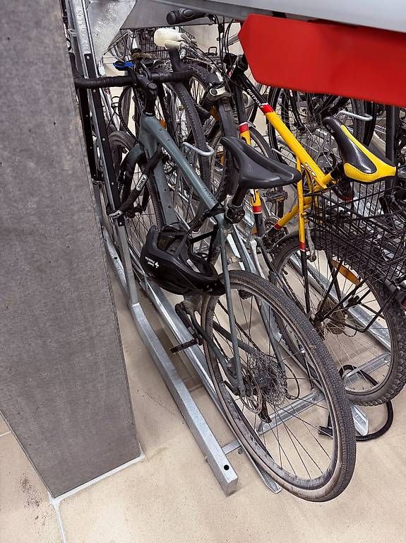 Biciclette: Trek Chekpoint ALR 5 56cm – Usato da Zürich venduto da val_l2g6