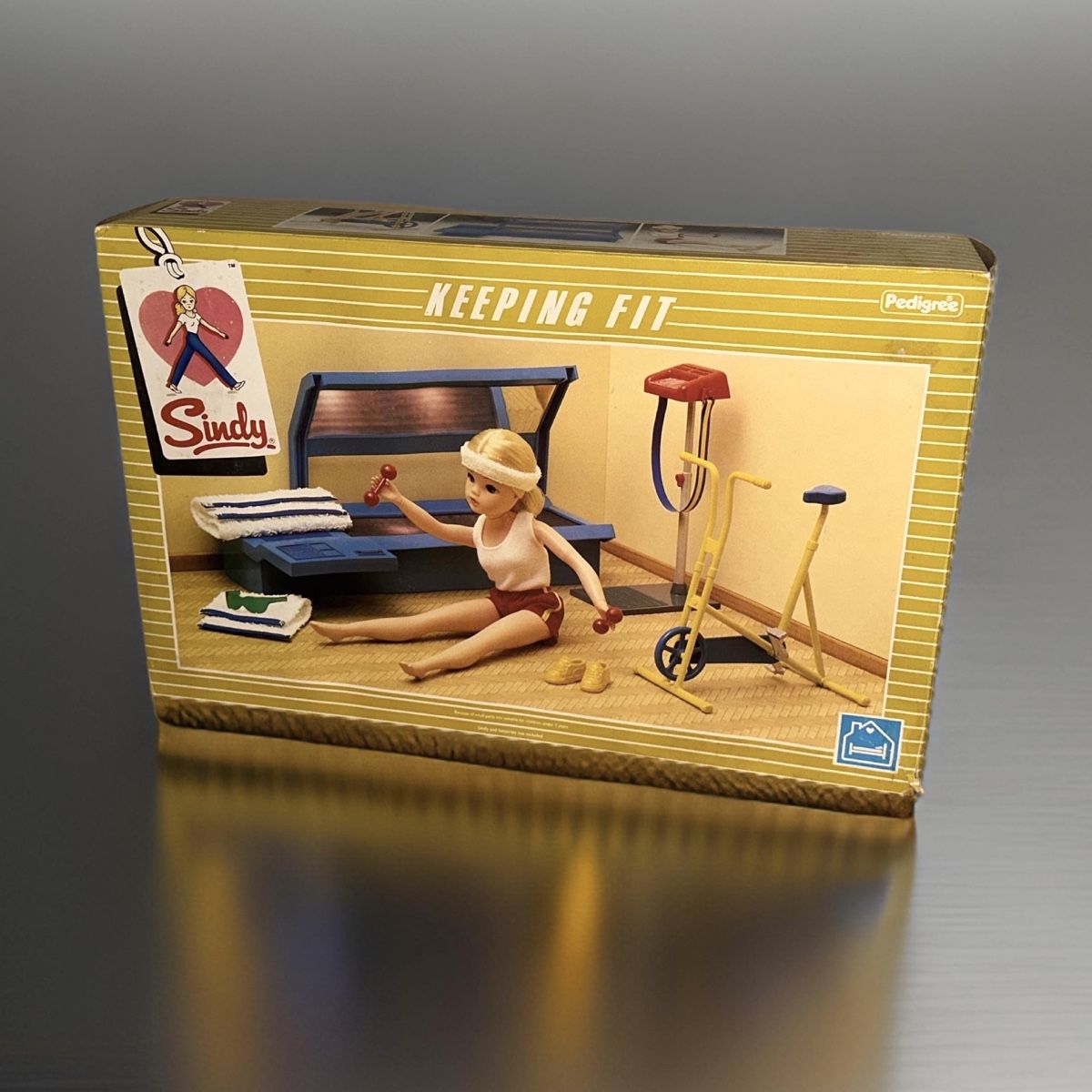 Giocattoli: RAR - neu Sindy 1984 Fitness Studio mit Originalverpackung – Nuovo (secondo la descrizione) da Nebikon venduto da Bogdan_Antikes