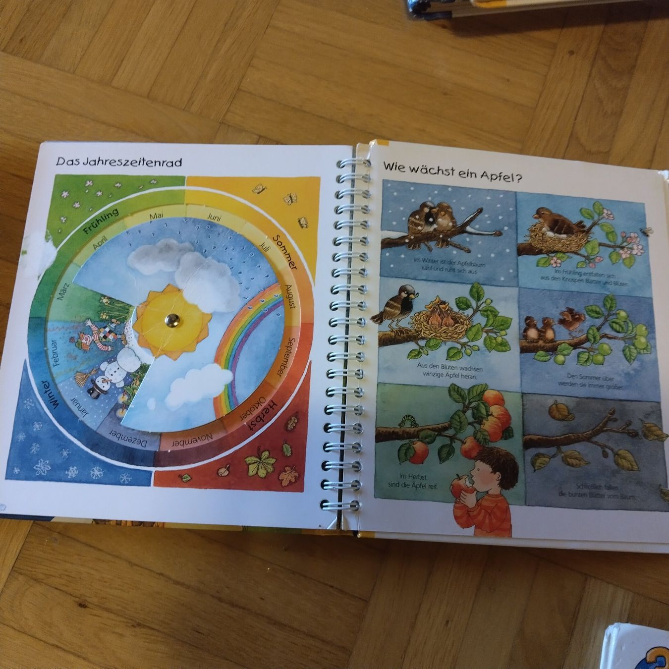 Bücher: Wieso Weshalb Warum Junior Bucher Set – Gebraucht aus Oberdorf NW von niederj 7