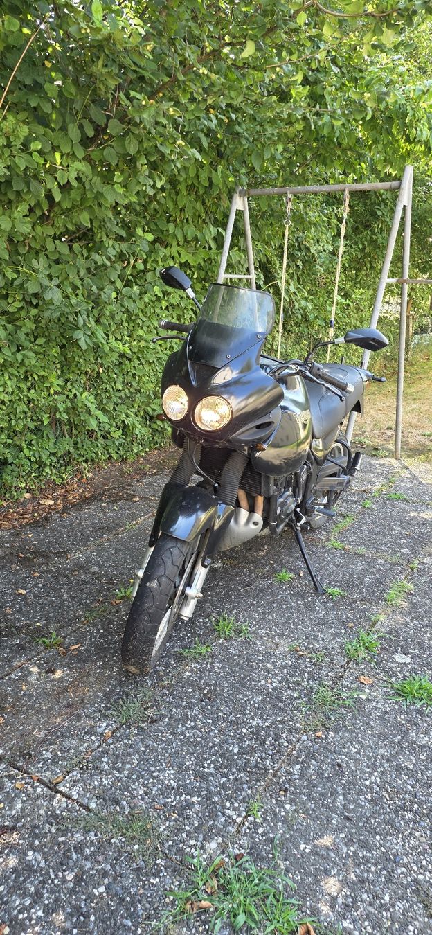Triumph Touring: Triumph tiger 900 – D'occasion à Luterbach par fri_5qxl 4