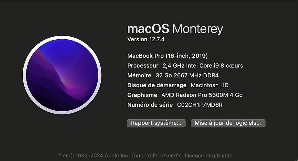 Apple PC: MacBook Pro 16 pouces / 32 gb de RAM – Usato da Lausanne venduto da ponifull 1
