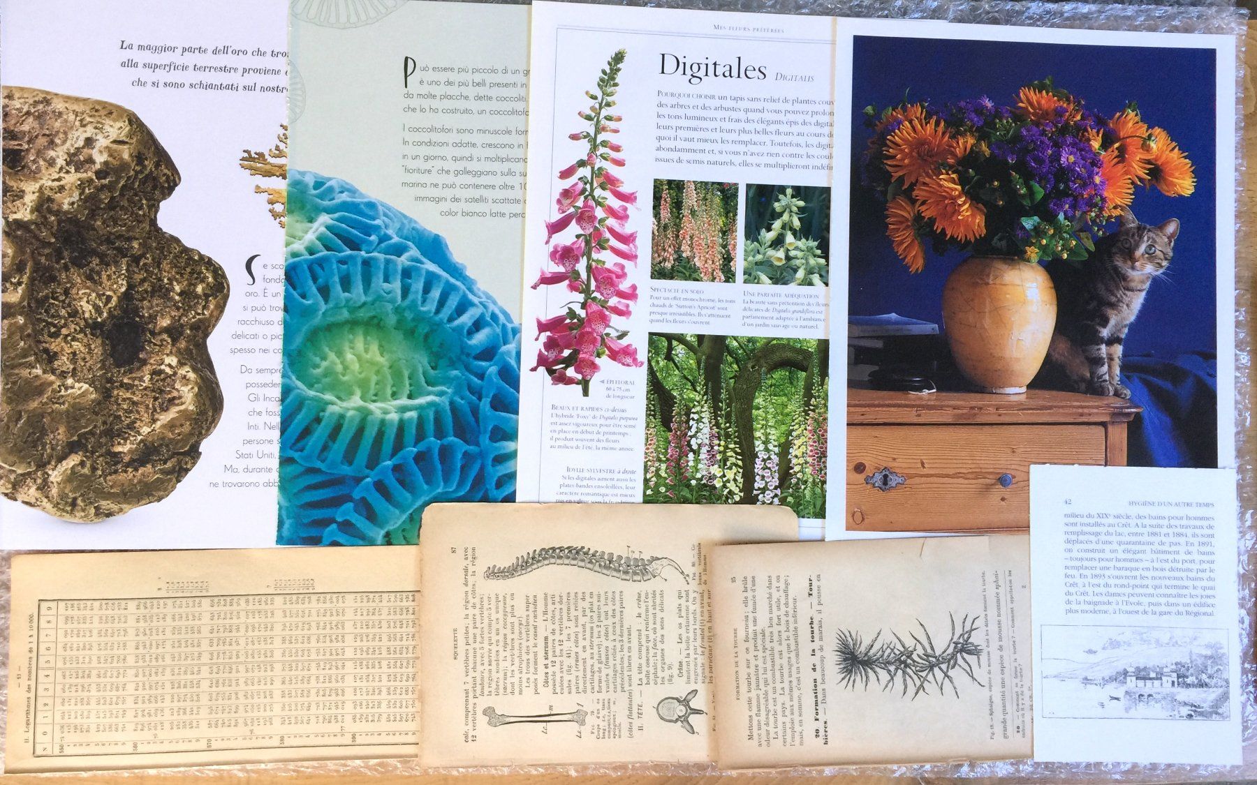 Bücher: ephemera 9/papier collage bastelpapier scrapbooking +Versand – Gebraucht aus Pully von websurfer1 3