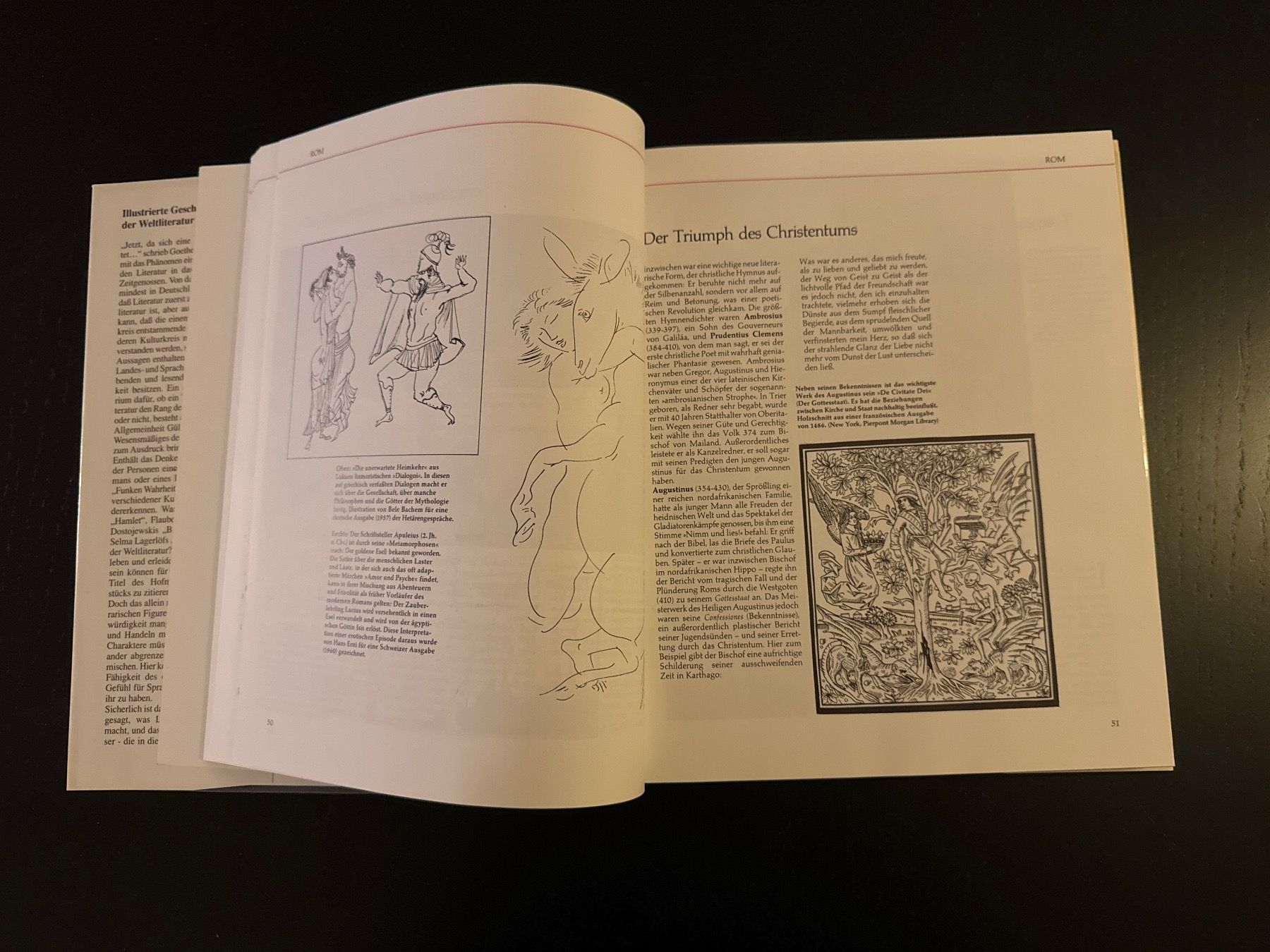 Bücher: Illustrierte Geschichte der Weltliteratur – Gebraucht aus Erstfeld von Mario_boe0 2