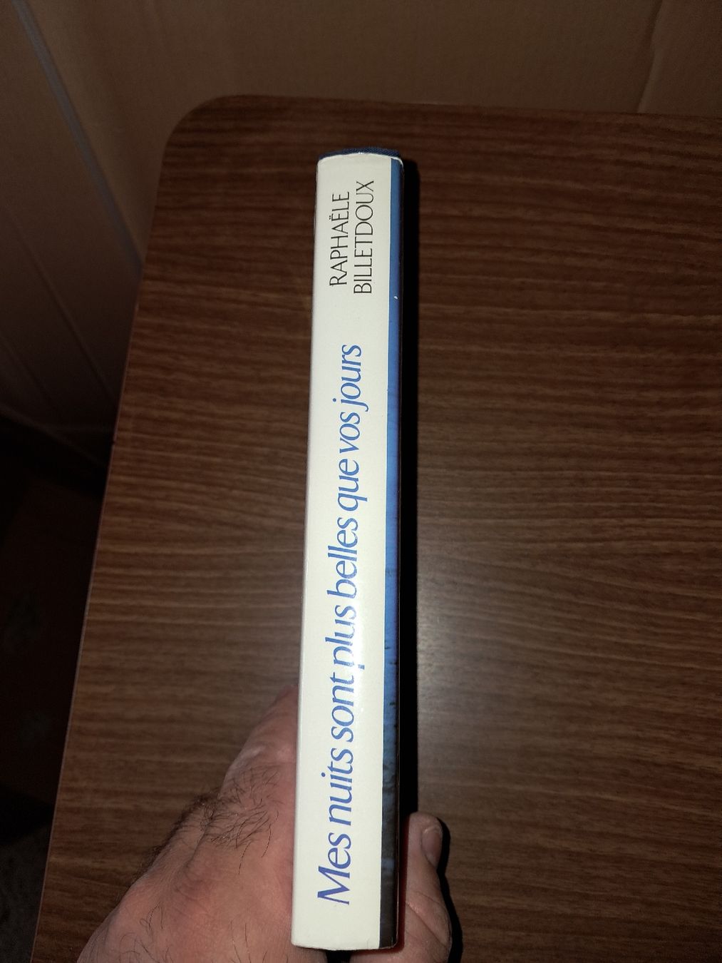 Libri: Mes nuits sont plus belles que vos jours Roman de Raphaële B – Usato da Le locle venduto da juliensaran 2