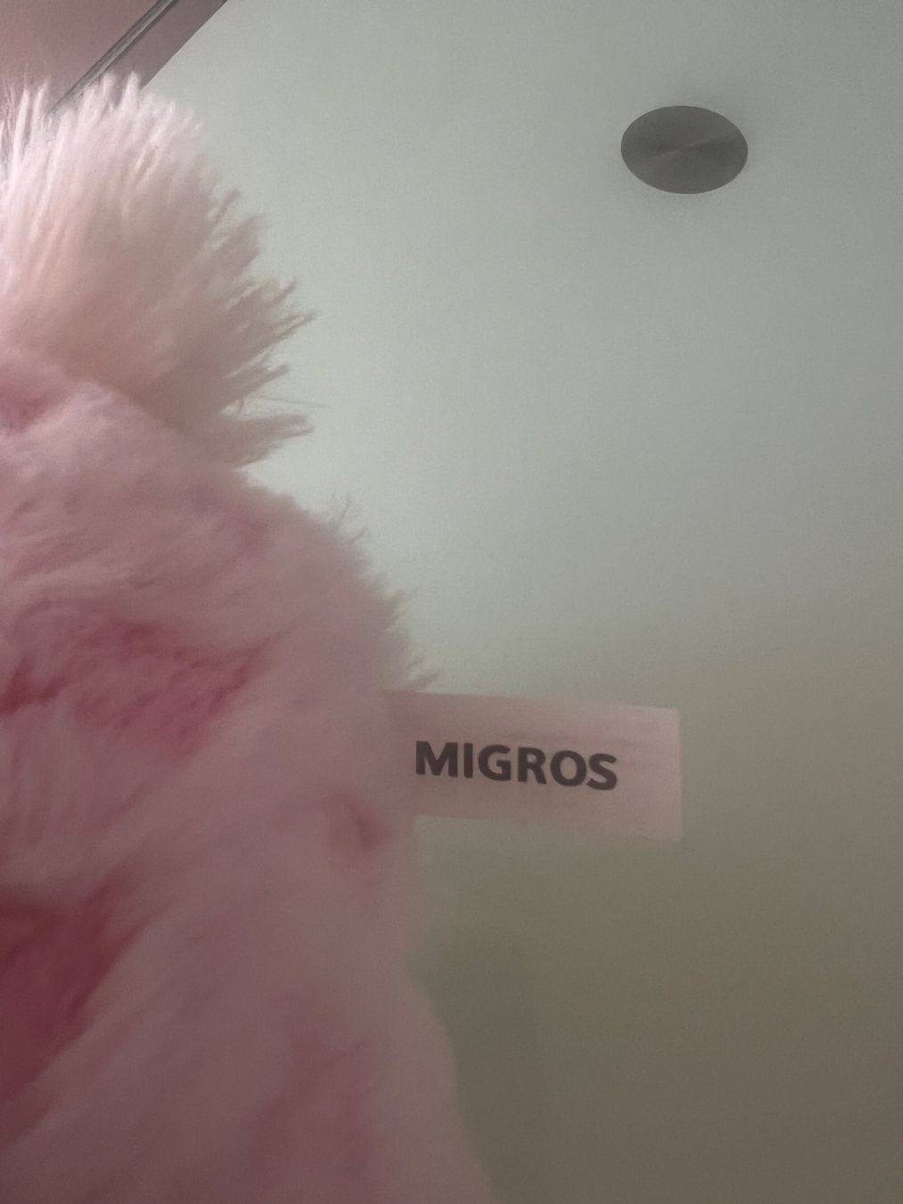 Migros Giocattoli: Hase Plüsch Migros – Usato da Näfels venduto da ale_c9qn 1