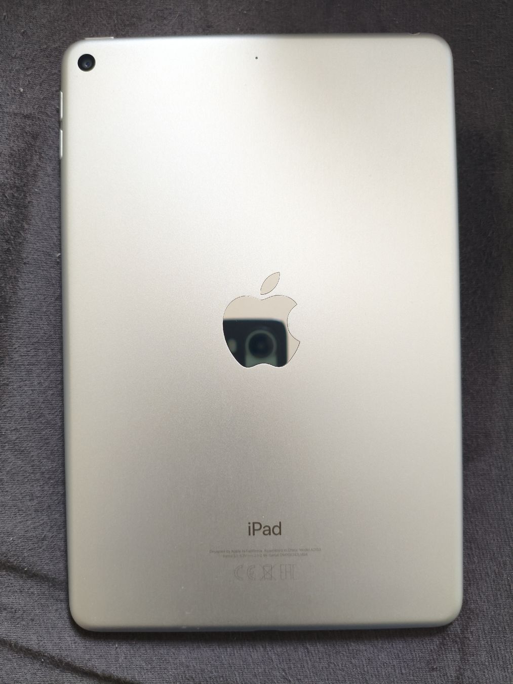 Apple Tablettes PC: Apple iPad mini 5th Gen 64GB Silver WiFi – D'occasion à Bern par Janick.Spielmann 2