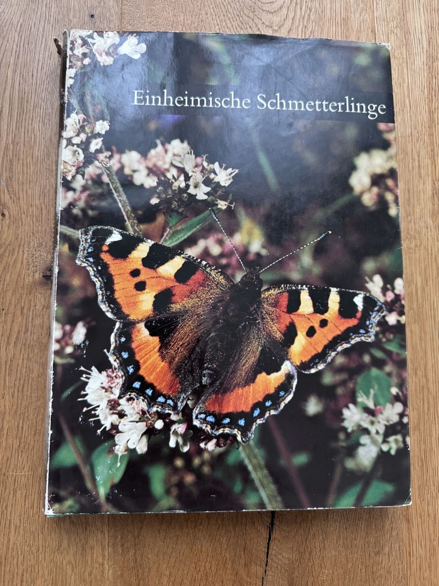 Libri: Buch Einheimische Schmetterlinge – Usato da Schafisheim venduto da Floromea