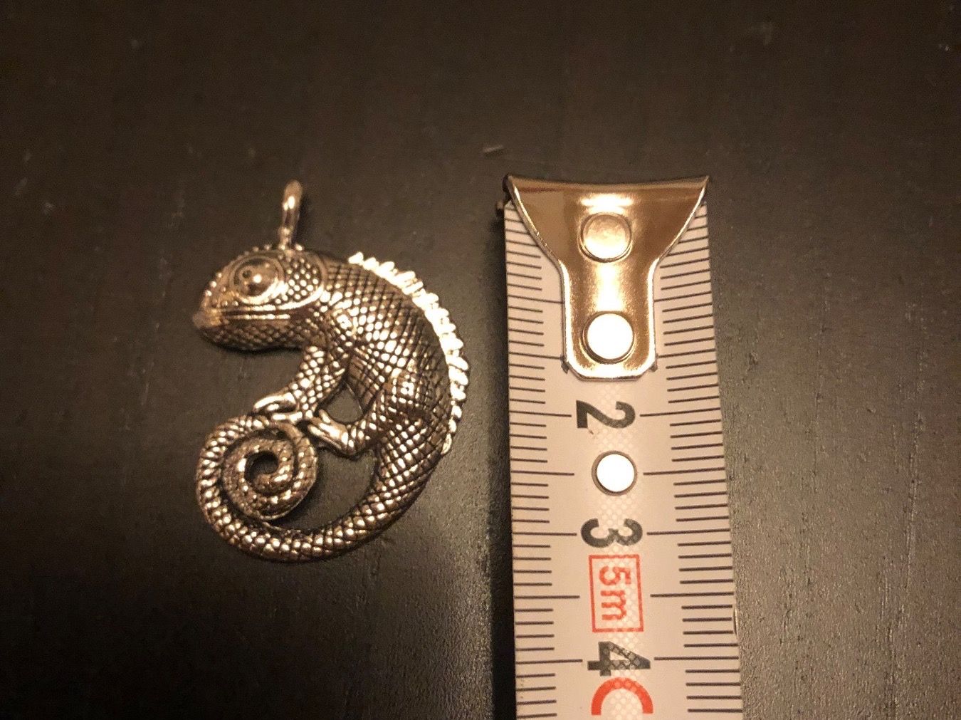 Anhänger: Amulett/ Anhänger Chameleon – Neu (gemäss Beschreibung) aus Gams von Mariawicca 2