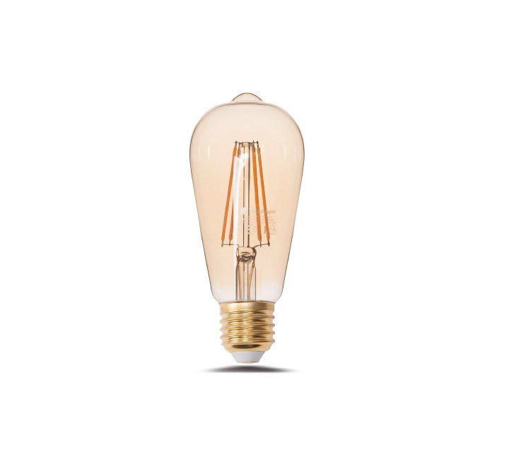 Lampade: EL FILAMENT - G80-5W- E-27 2000K – Nuovo e nell'imballaggio originale da Altendorf venduto da Anddus-light