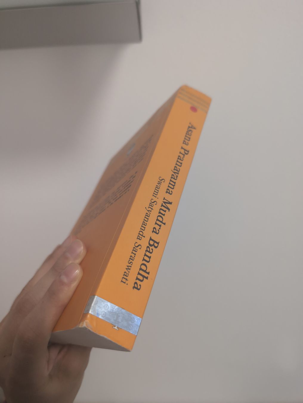 Bücher: Libro di yoga in inglese – Gebraucht aus S. Pietro von van_2826 2