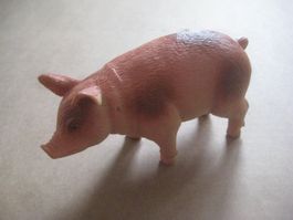 SCHWEIN