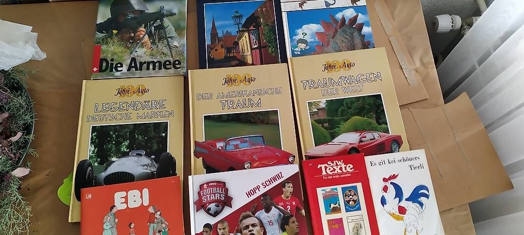 Libri: Diverse Bücher  – Usato da Boll venduto da minta24