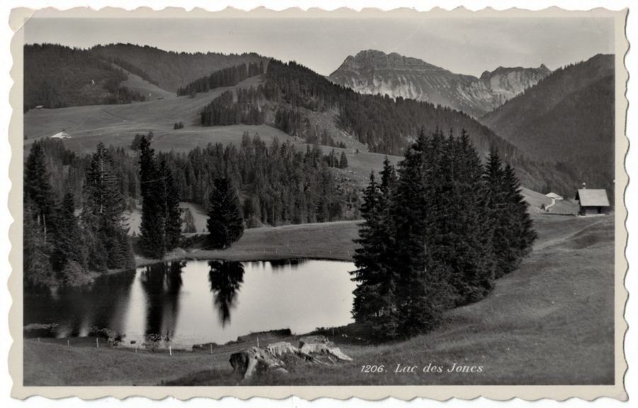 Cartoline postali: Lac des Joncs, circulée 1956 – Usato da Frauenfeld venduto da POML