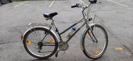 Velo