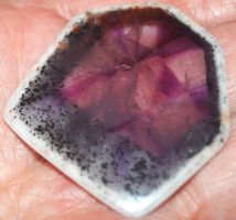 Mineralien L-1002 – AAA Trapiche Amethyst Scheibe ca. 37x39m