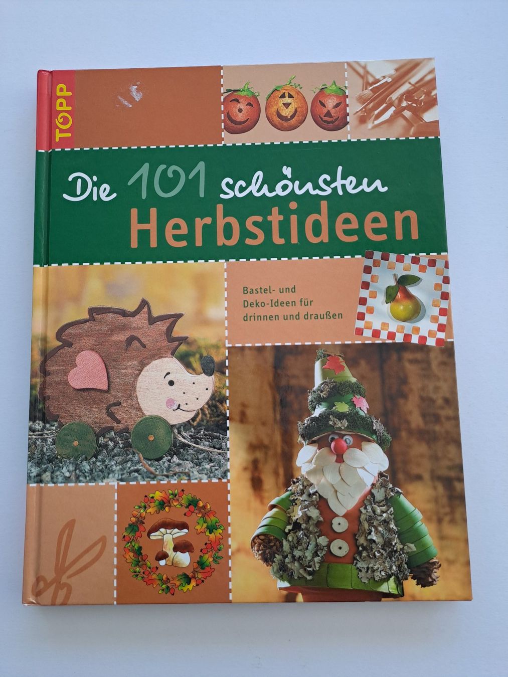 Libri: Baselbuch Die 101 schönsten Herbstideen Topp Verlag – Usato da Glashütten venduto da Schwebefisch