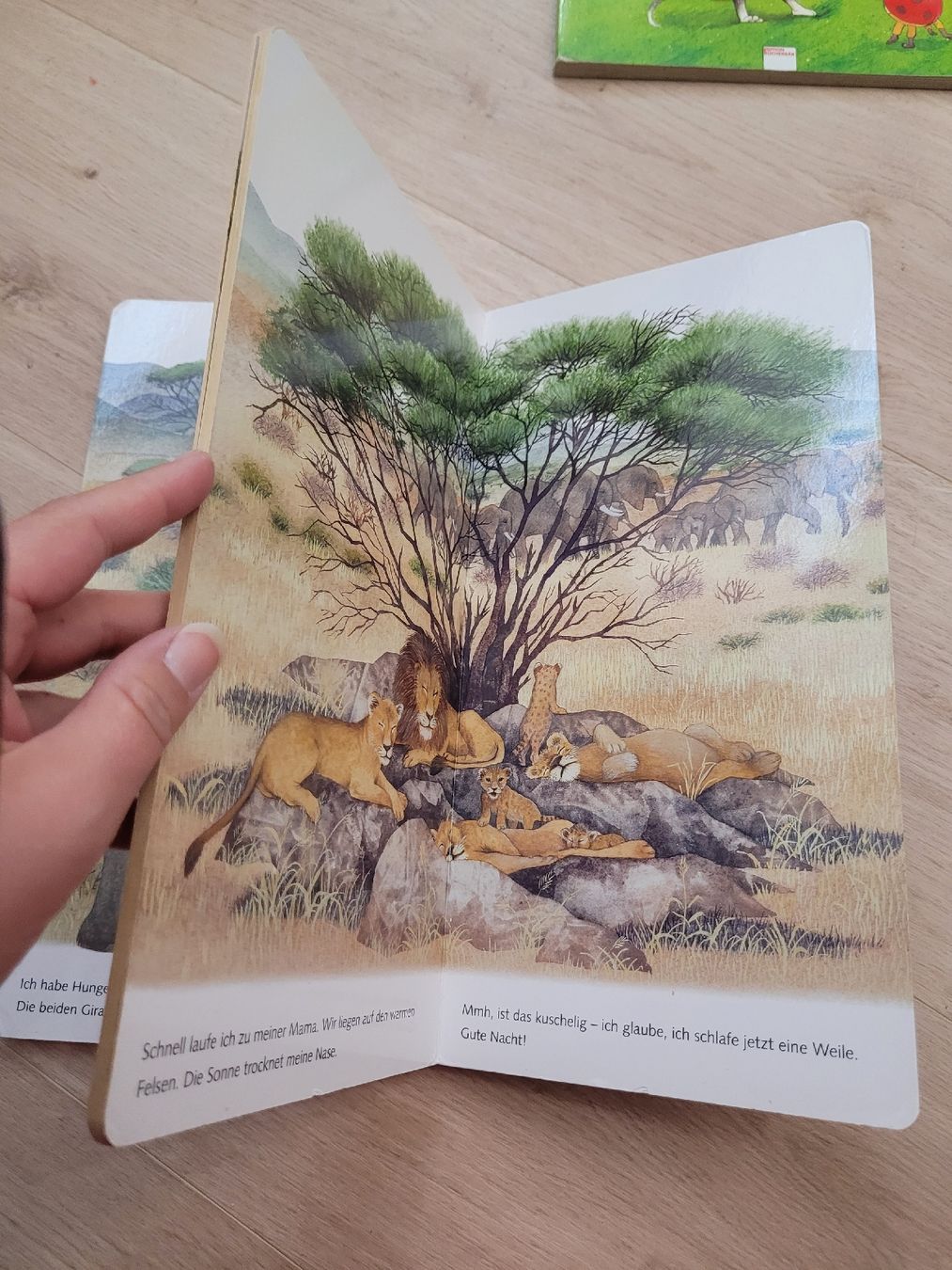Livres: Buch Tierkinder 2 Jahre – D'occasion à Lupsingen par sta_wgg5 8