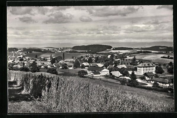 Cartoline postali: AK Schwarzenburg, Teilansicht – Usato da Berlin venduto da bartko-reher