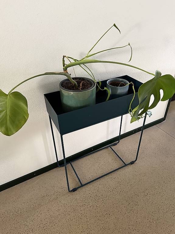 Altro per la casa: Giardimo LAB Stanley, Metall-Pflanzenständer dunkelblau – Usato da Winterthur venduto da Fazzoletto