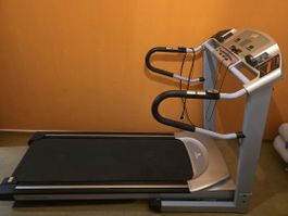 Professionelles Horizon Laufband – sehr guter Zustand