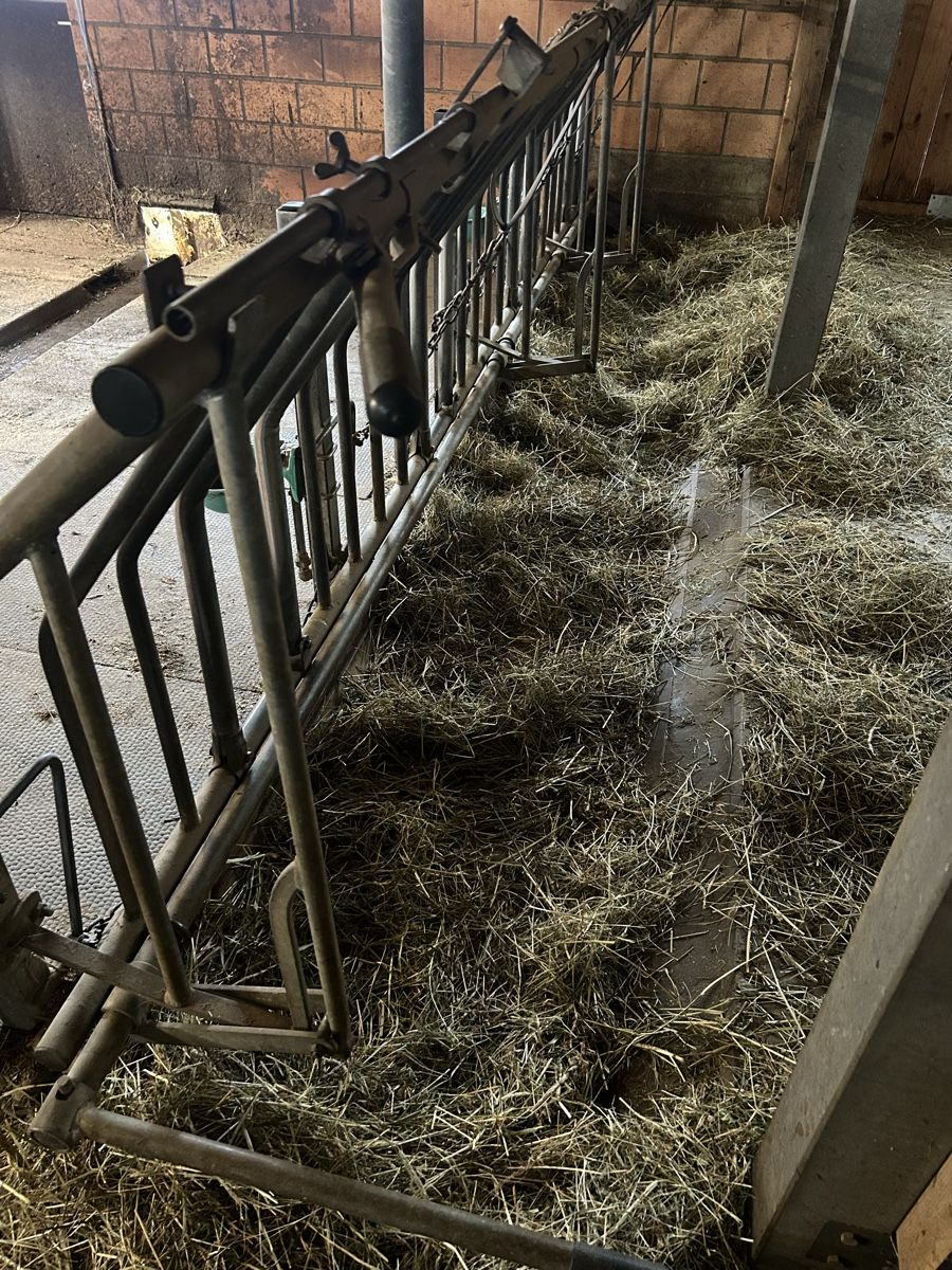 Altro in Accessori per animali: Fressfanggitter mit Vorhang – Usato da Habkern venduto da Bebasam 2