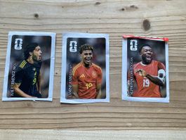 Panini CC