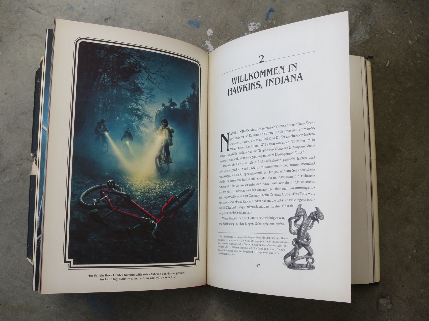 Libri: Stranger Things, Das offizielle Begleitbuch – Usato da Basel venduto da thi_7n89 3