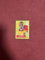 Panini Sticker Willian Pacho Ecuador Nr. 8