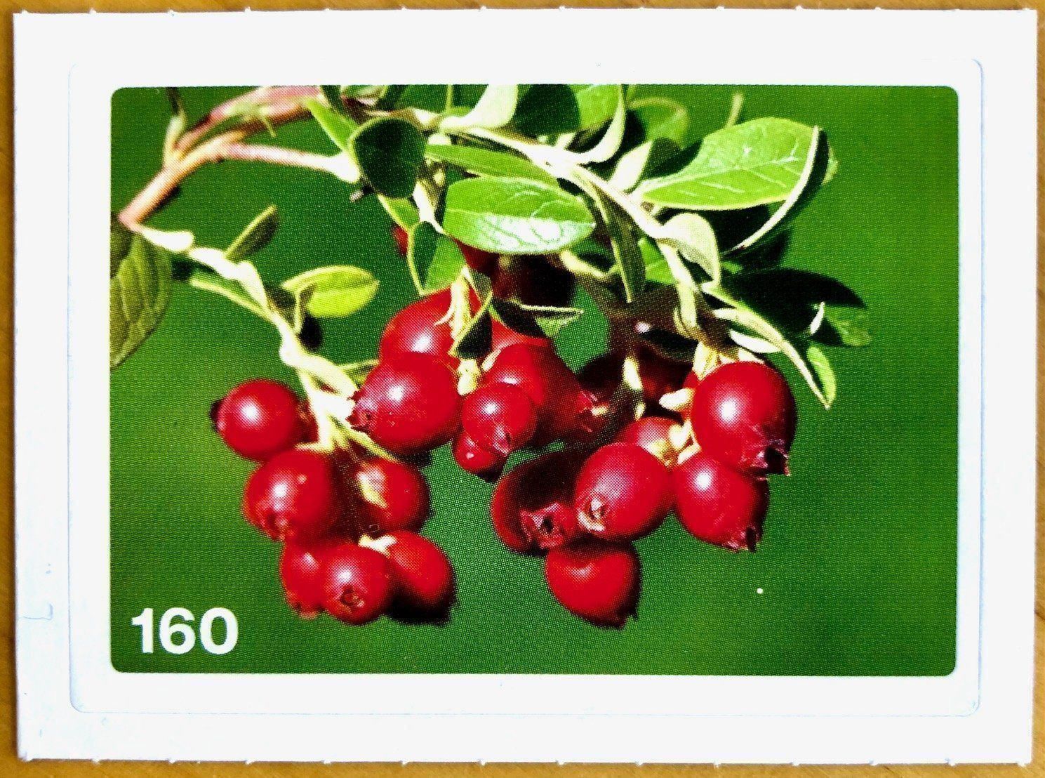 Migros Sammelbilder & Trading cards: Migros Nature Detectives - Bild Nr. 160 – Neu (gemäss Beschreibung) aus Oberrieden von Zimmerberg10