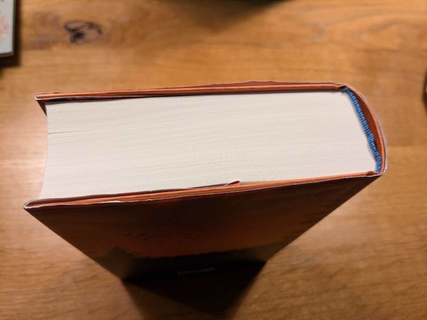 Libri: Stephen King: "KEIN ZURÜCK" – Usato da Wohlen AG venduto da merkur0300 2