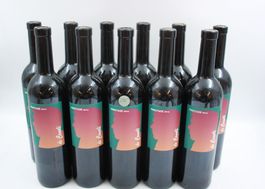 11x Pinotage Remy de Canali/ NP 275 CHF (26080961Z)