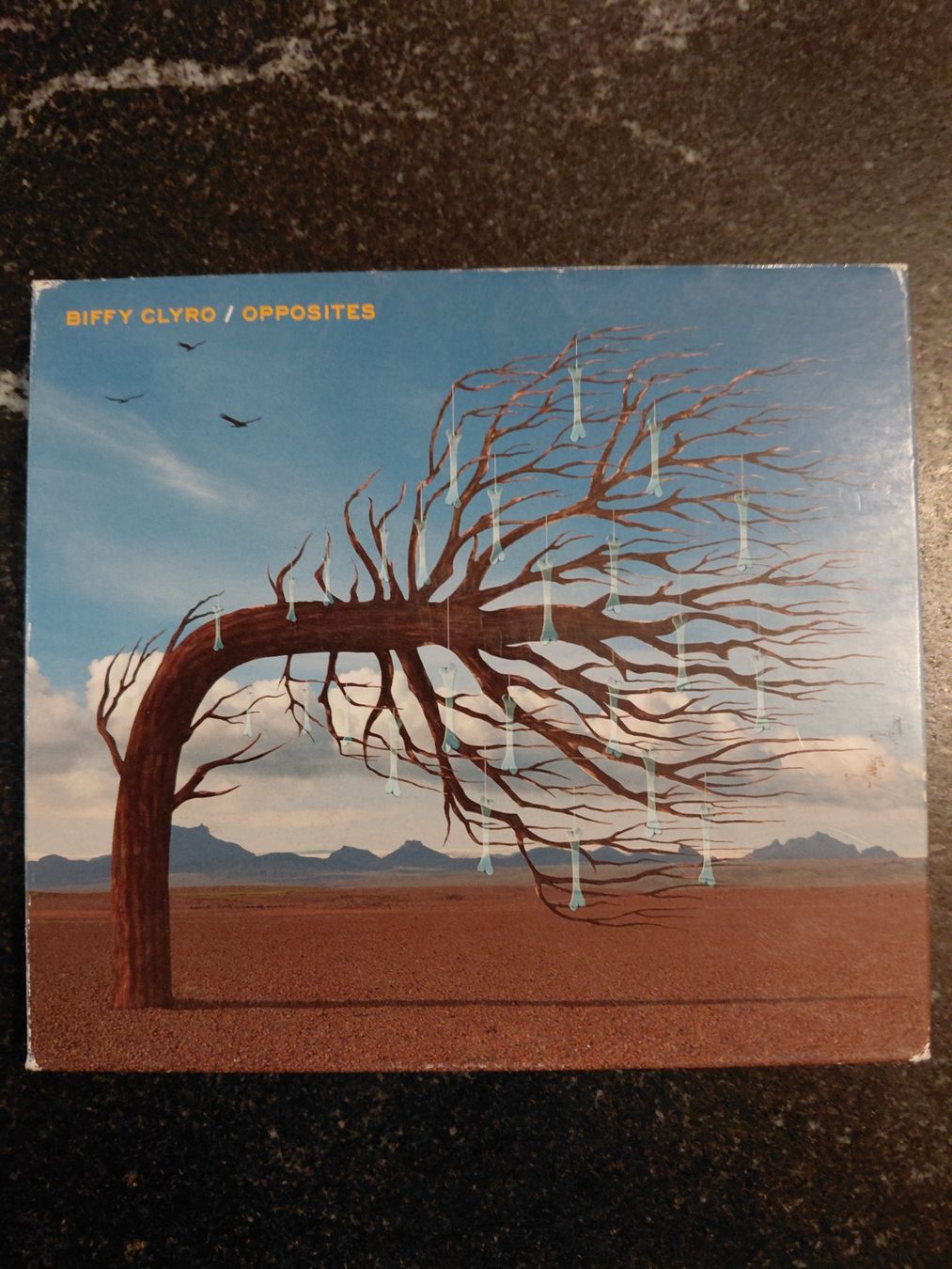 CD: Biffy Clyro + Magnum – Usato da Bürchen venduto da fmr_v826 1