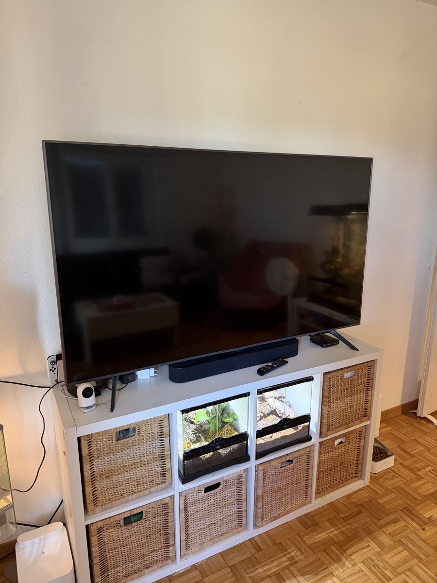 Samsung Televisori: Samsung 65-Zoll TV – Usato da Langenthal venduto da E.Mersin