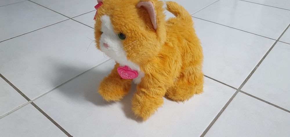 daisy mon chat joueur