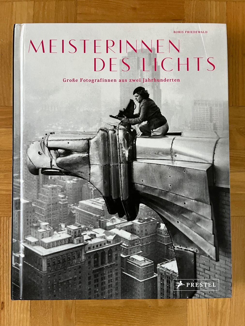 Libri: Meisterinnen des Lichts – Usato da Meilen venduto da Mofline