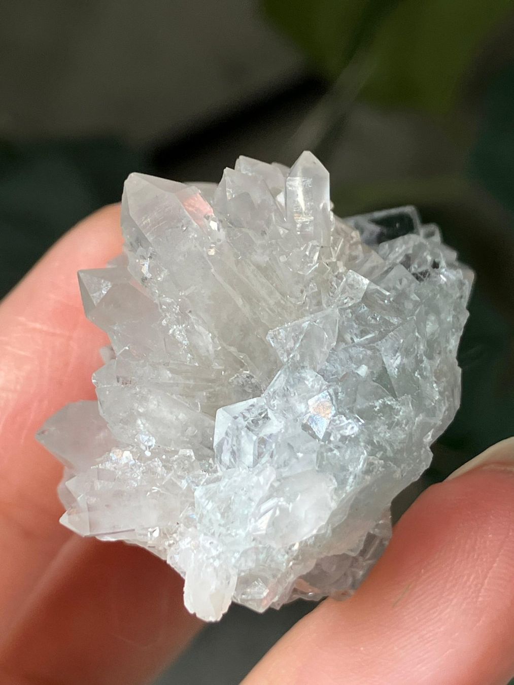 Minerali & Pietre curative: Quarz-Cluster mit Fluorit – Nuovo (secondo la descrizione) da Neuheim venduto da m.hald 4