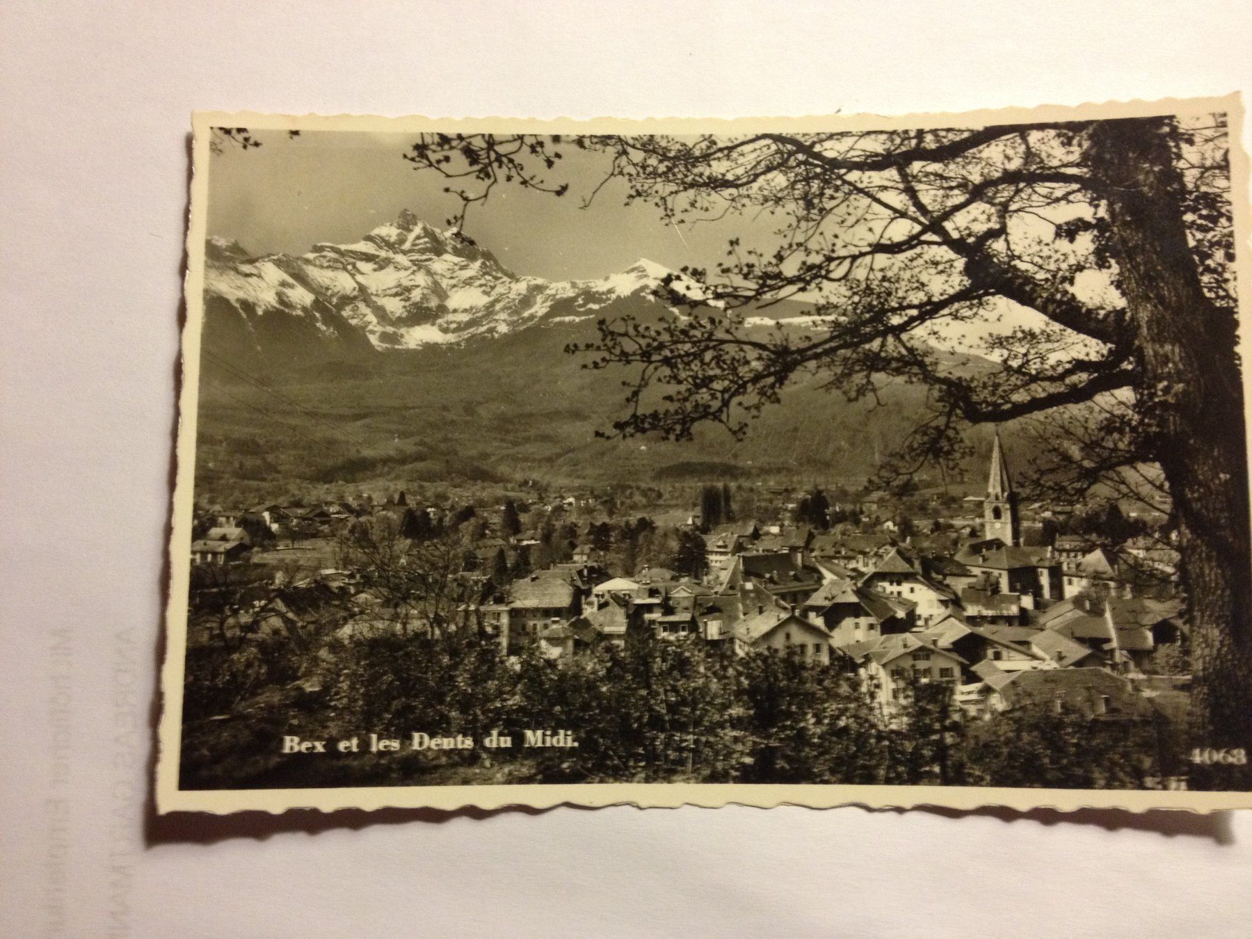 Cartoline postali: Antike Postkarte Bex et les Dents du Mid – Usato da Abtwil SG venduto da mutts1