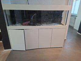 aquarium 400lt