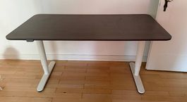 Höhen verstellbarer IKEA-Tisch in perfektem Zustand