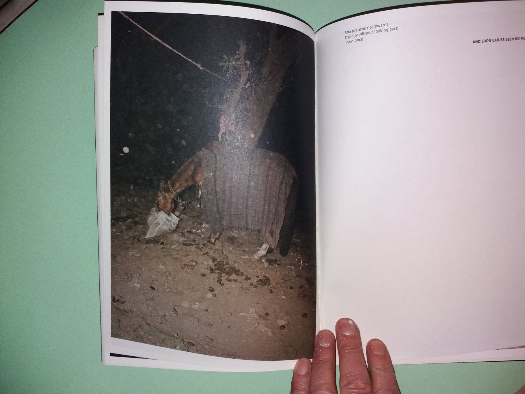 Libri: ANGST Soham Gupta rares fotobuch – Usato da Welschenrohr venduto da Regool 4