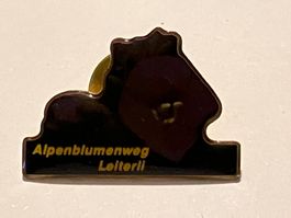 1 Pin Alpenblumenweg Leiterli
