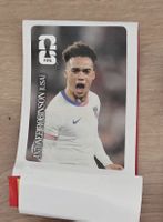 WM Cola Panini Antonee Robinson (USA)