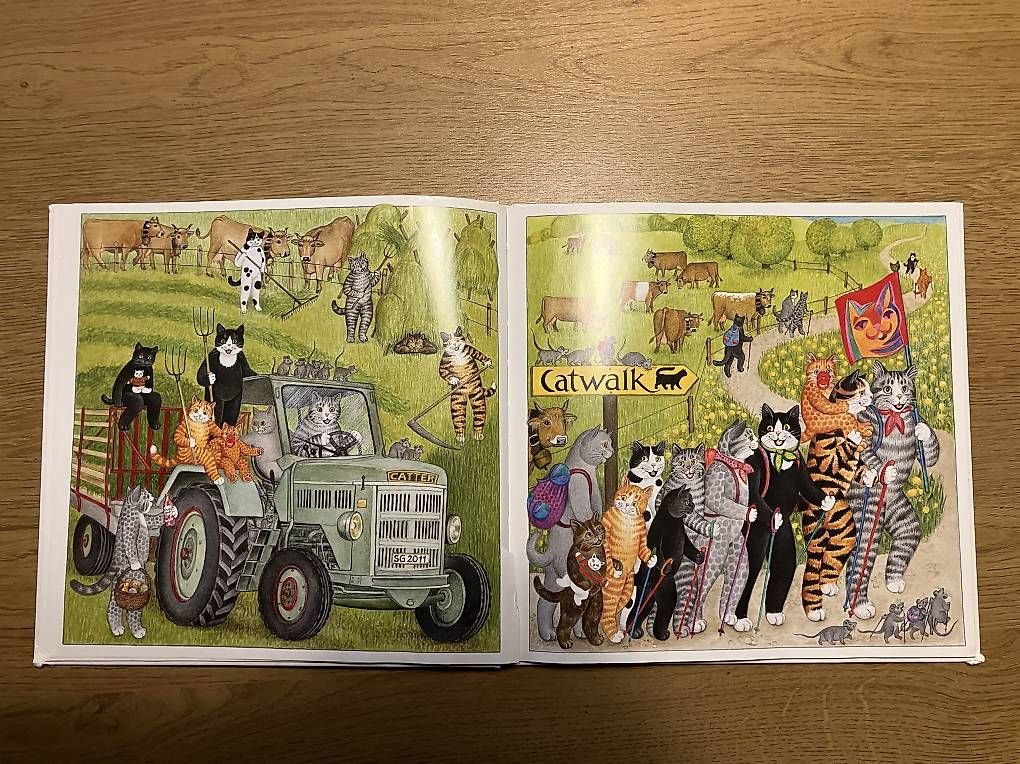 Livres: Kinderbücher  – D'occasion à Bronschhofen par Oggy0 2