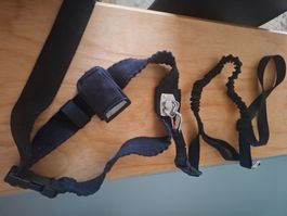 laisse pour chien mains libres