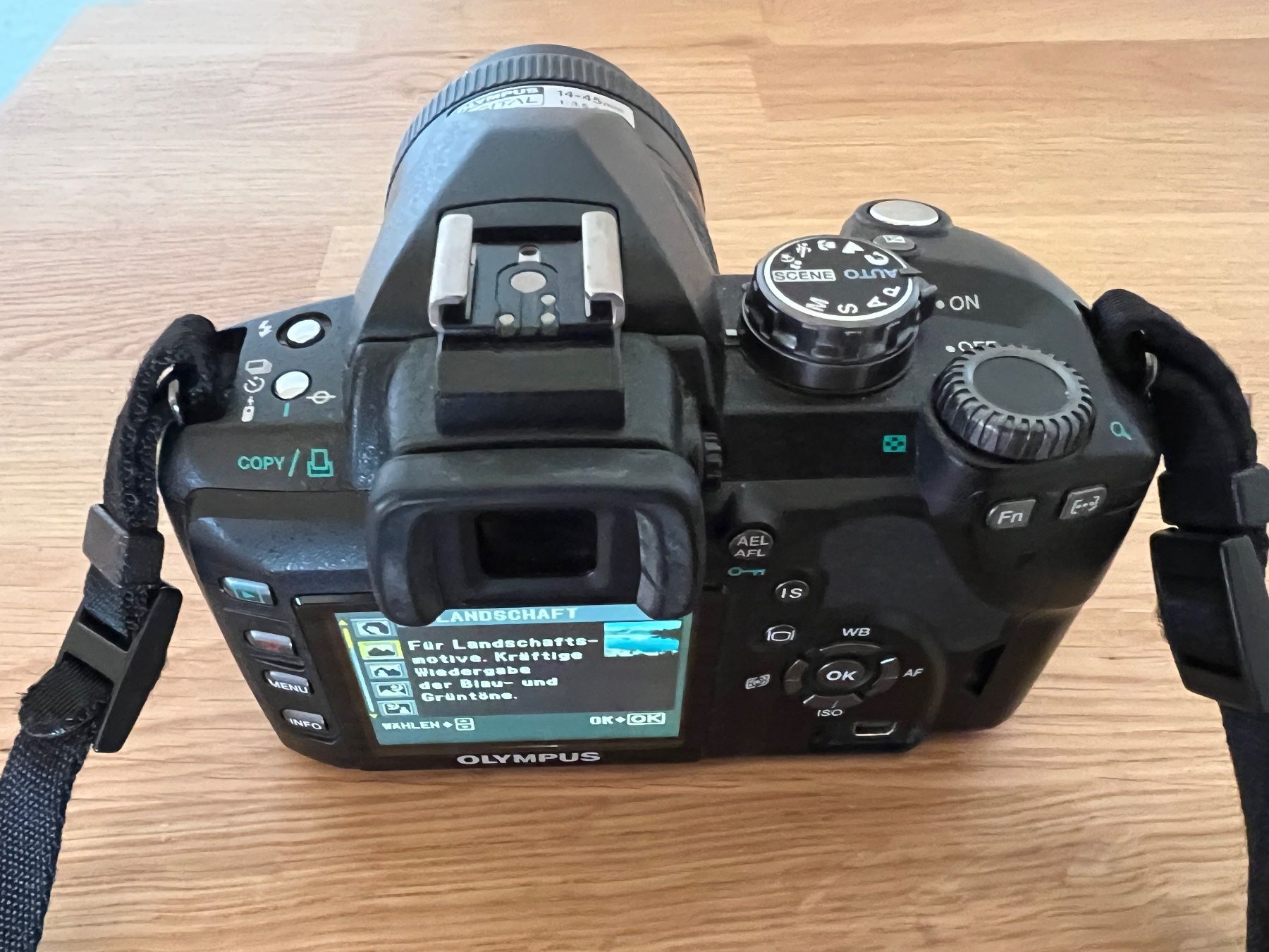 Olympus Fotocamera: Olympus E-510 und E-500 Set mit 2 digital Reflex – Difettoso da Zürich venduto da Gianni 8