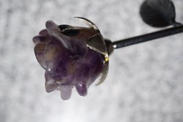 Ametrin     Rose   23cm    Die nie Verwelkt