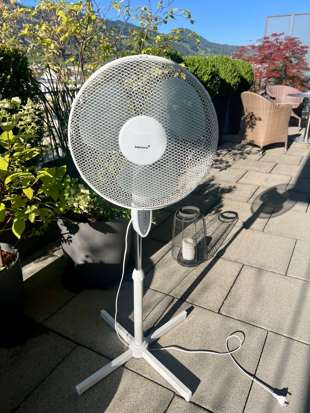 Ventilatoren: Stand-Ventilator Intertronic – Gebraucht aus Lachen SZ von inf_2jkm