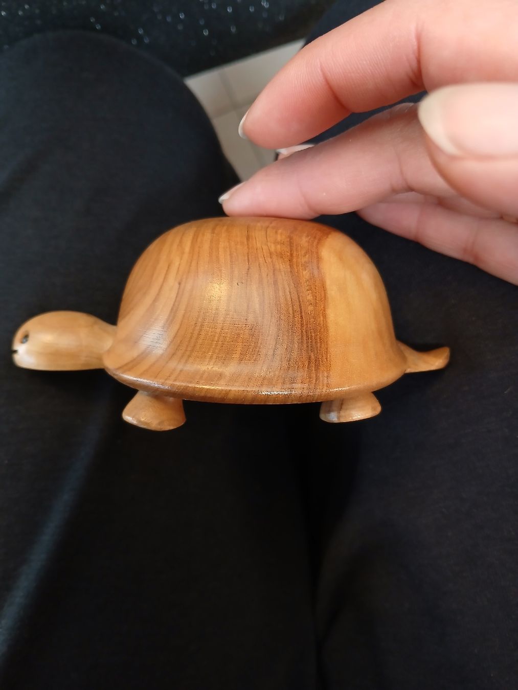 Figuren: tortue en bois – Gebraucht aus Monthey von mar_h6jr