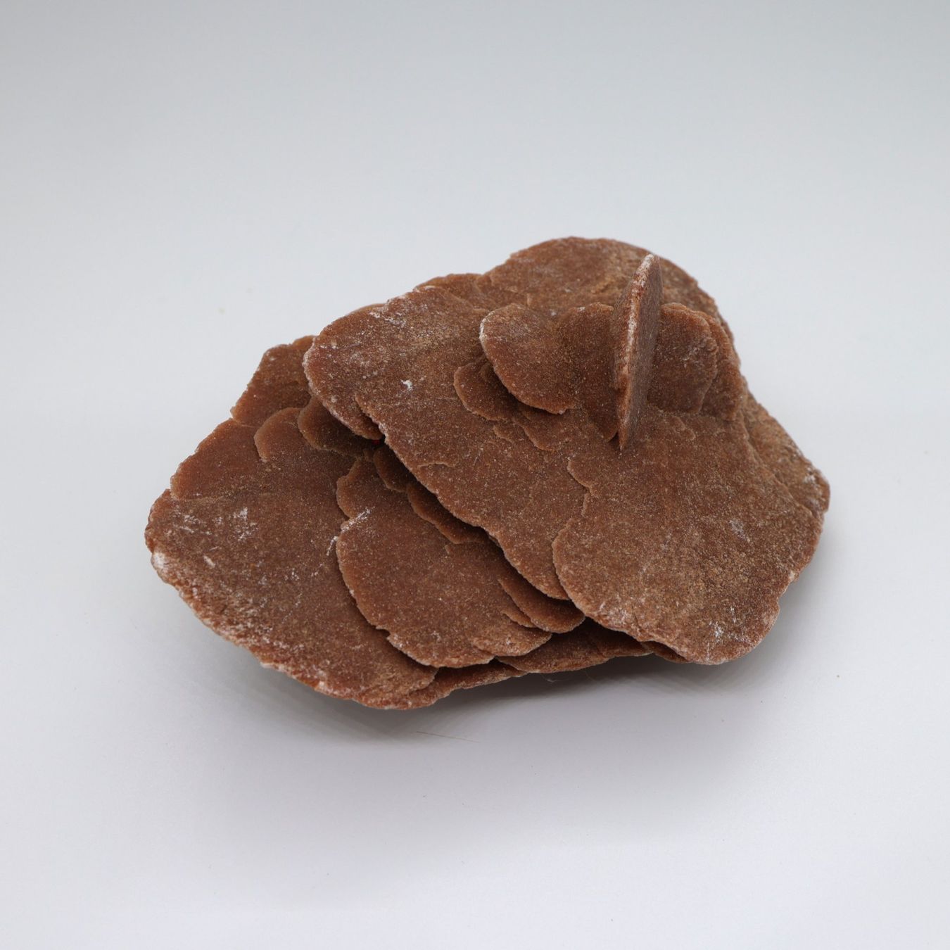 Minerali & Pietre curative: Wüstenrose - Steine – Usato da Volketswil venduto da brockipfannenstil 3